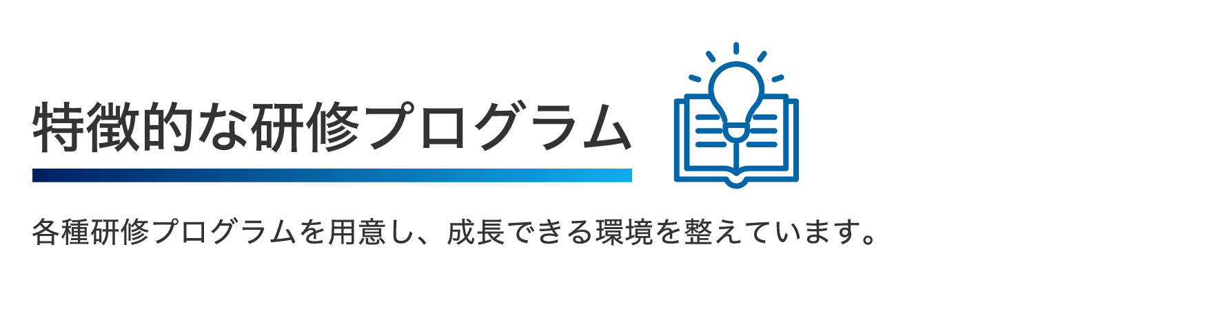 特徴的な研修プログラム 各種研修プログラムを用意し、成長できる環境を整えています。